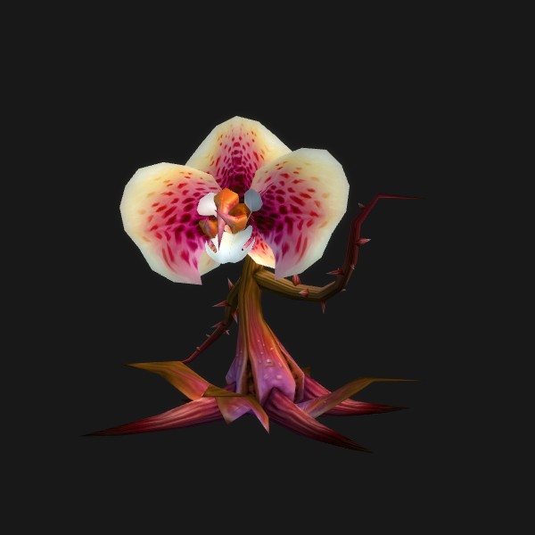 Ammen Vale Lashling - preview