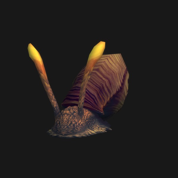 Rapana Whelk - preview