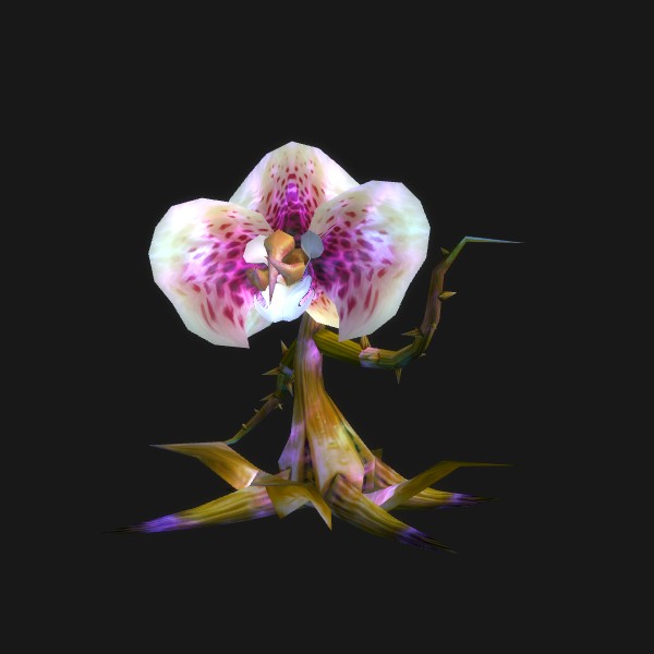 Snaplasher - preview