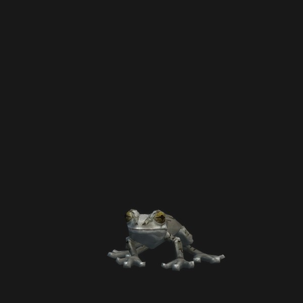 Inland Croaker - preview